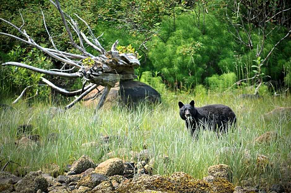 Canadian Princess Lodge & Marina
