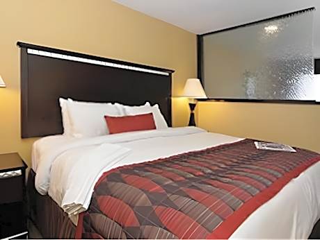 1 Bedroom King Suite