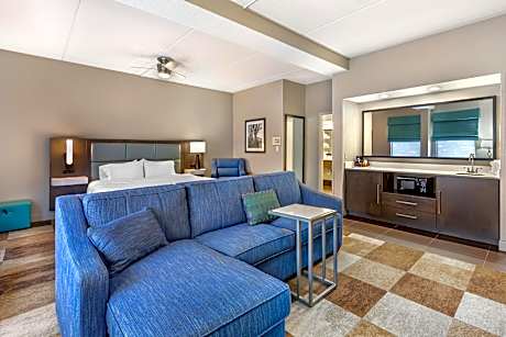 1 KING 1 BDRM SUITE WITH SOFABED NONSMOKING