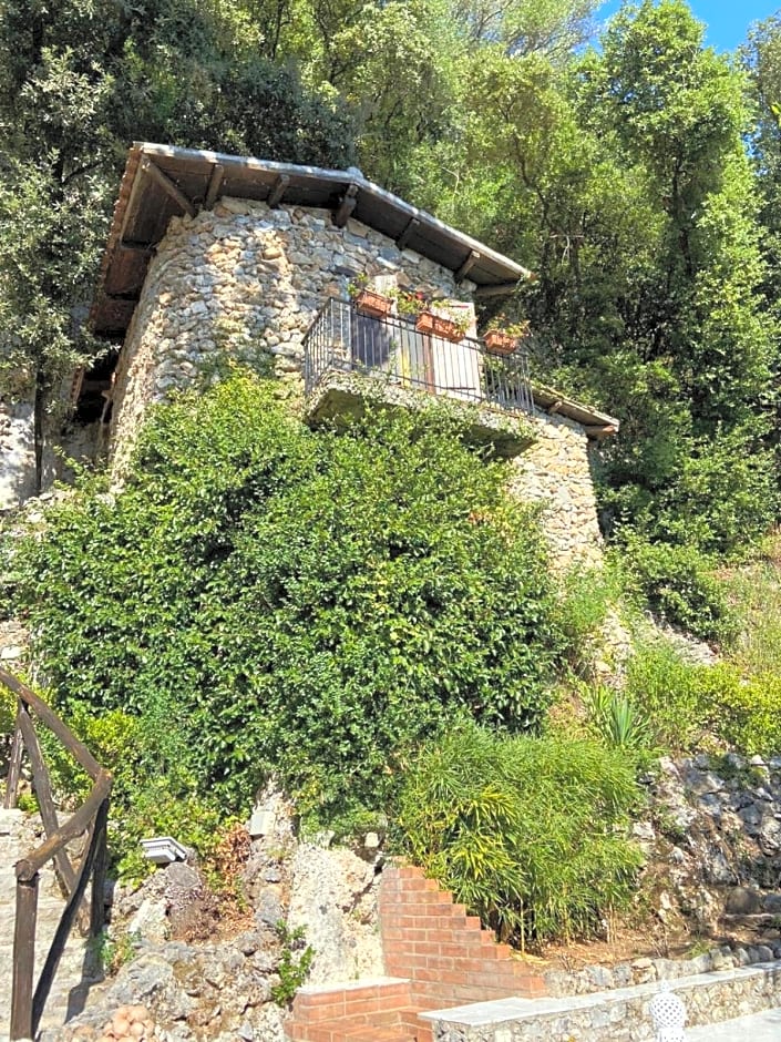 Maison Du Reve Scario
