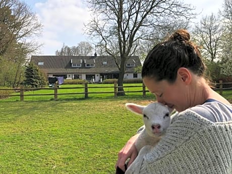 Het geheim van Merselo