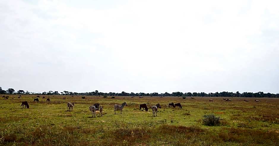 Shambala Private Game Reserve