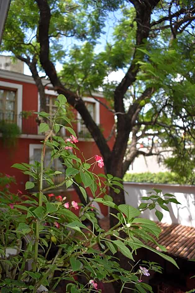 HOTEL ANA CATALINA & SUITES