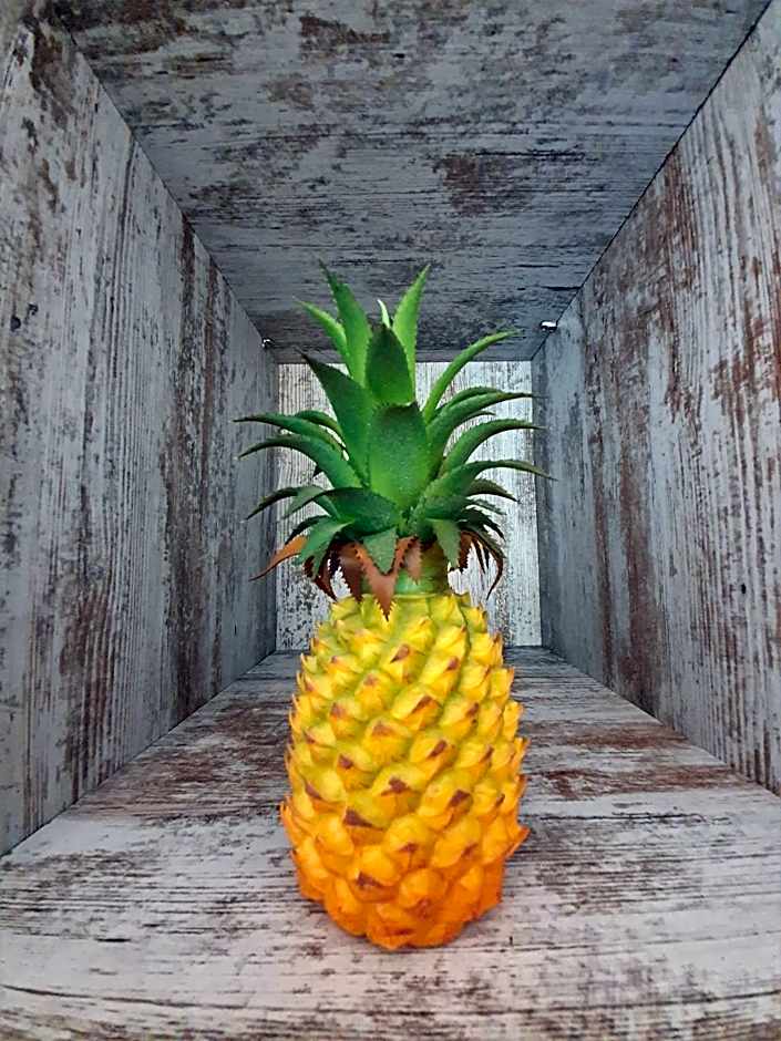 DreamKeys Barcelona City