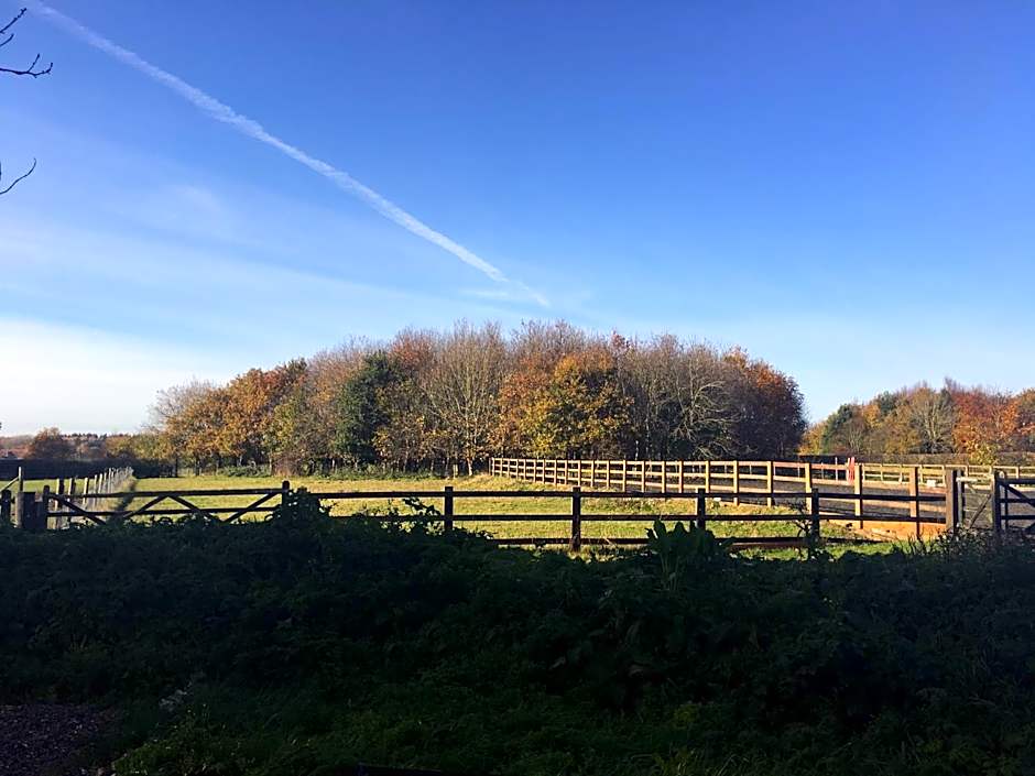 the Orangery - BnB Suites