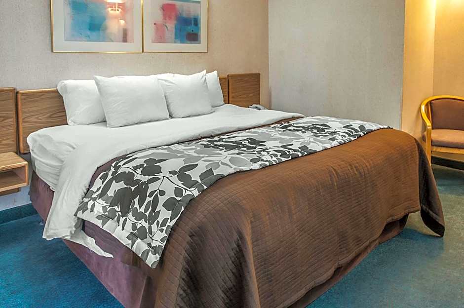 Photo 1 of 4 of 1 King Bed, Nonsmoking