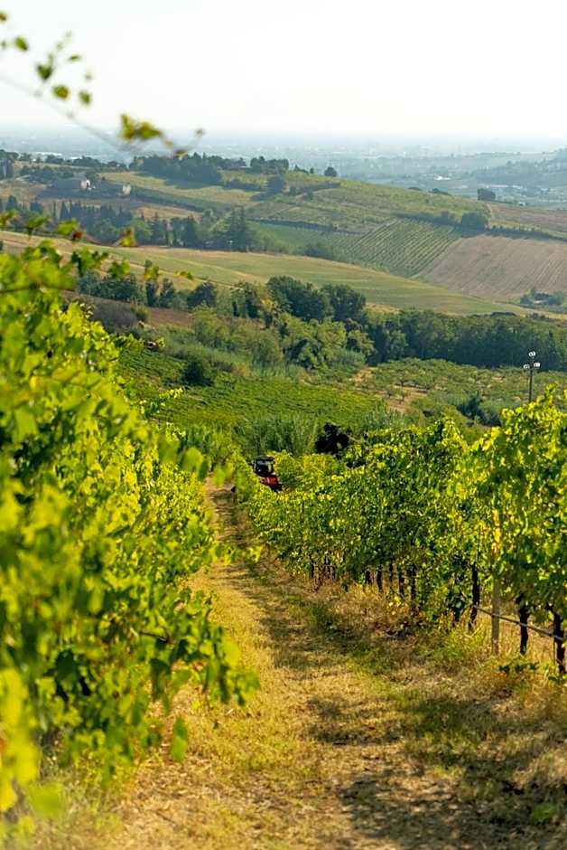 Boutique Hotel Villa Monty Banks