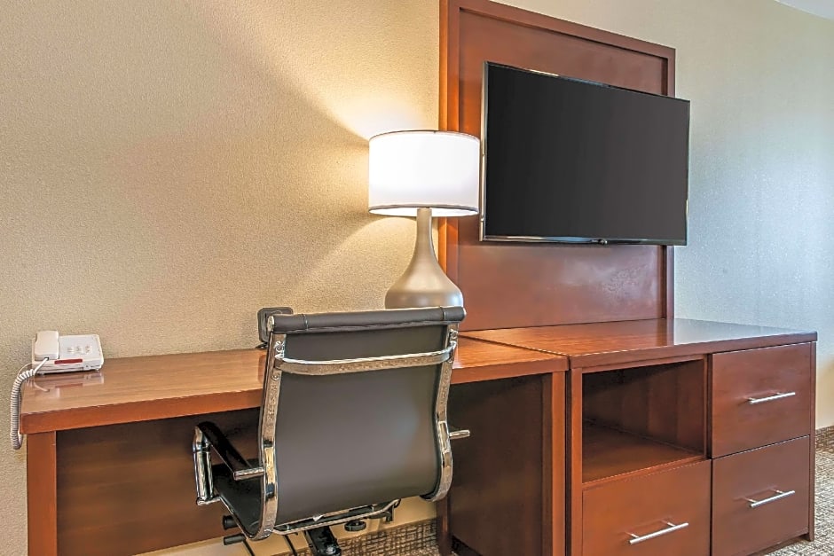 Comfort Suites Rensselaer near Fair Oaks