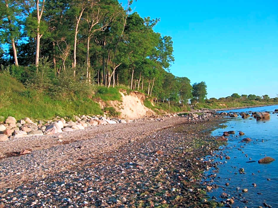 Aparthotel Museumshof