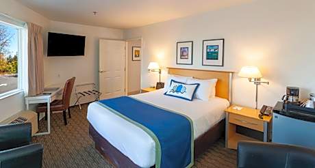 Queen Room - Disability Access