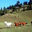 Circle Bar Guest Ranch