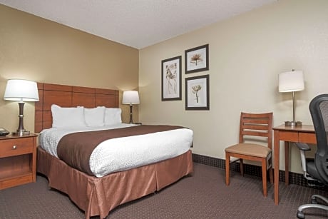 1 Queen Bed Lake View Non-Smoking