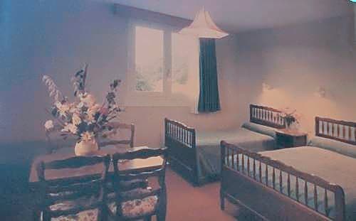 Hotel Restaurant Carrier