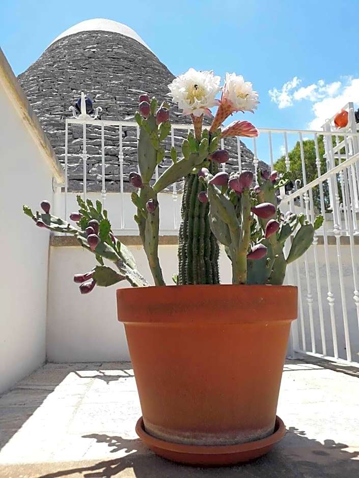 Masseria Nuove Caselle