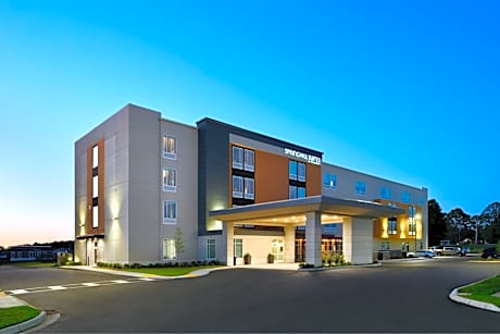 SpringHill Suites by Marriott Dothan