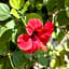 Elafonisi Village
