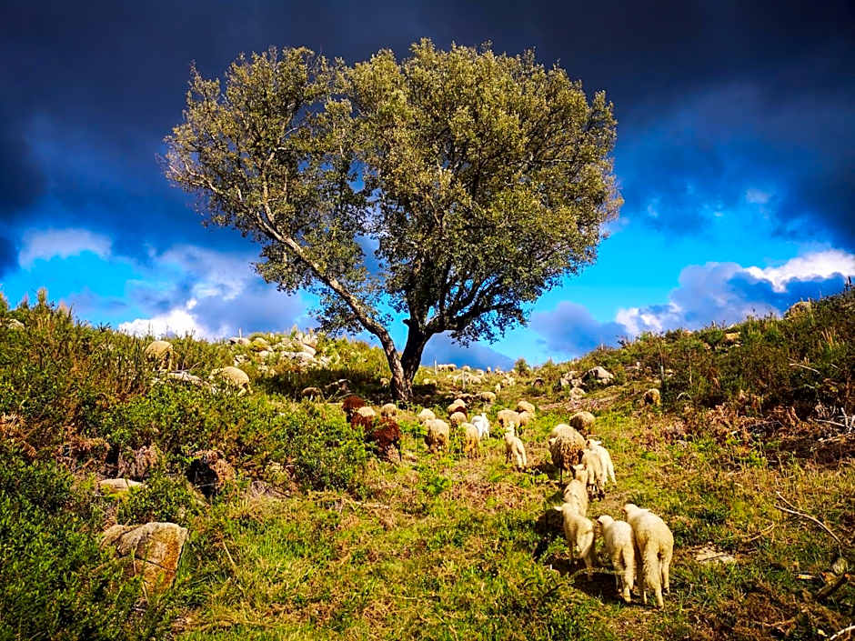 Hostel Retiro do Gerês