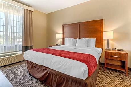 1 King Bed, Suite, Nonsmoking