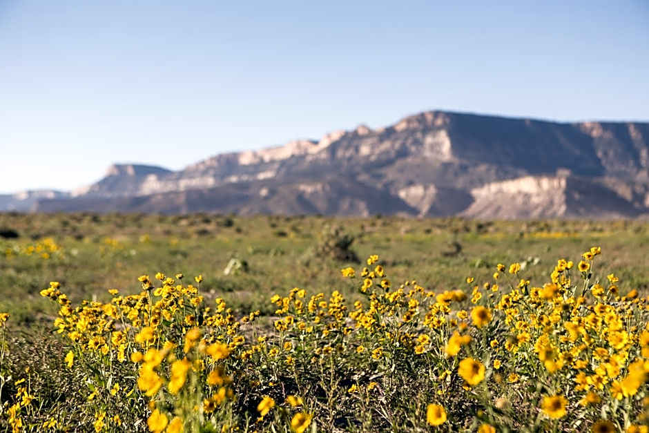 Kayenta Monument Valley Inn