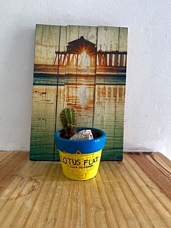 Lotus Flat - Canoa Quebrada