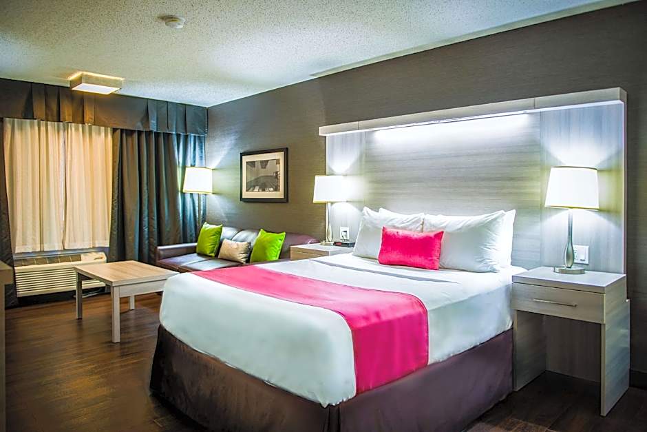 Photo 1 of 4 of 1 Queen Bed with Sofabed