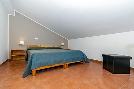 Attic Double Room with Terrace