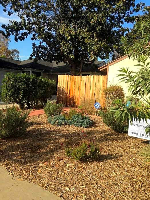 Sunshine La Bnb