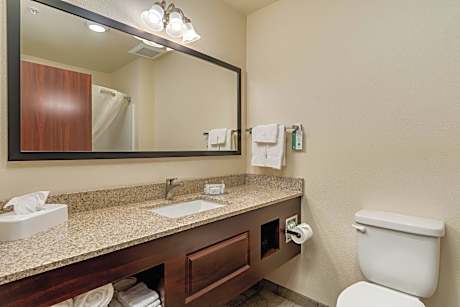 Efficiency King Room - Non Smoking