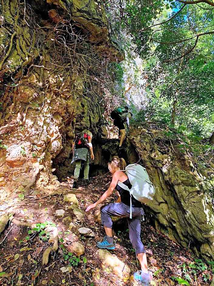 The Frogs House - Yoga Retreat