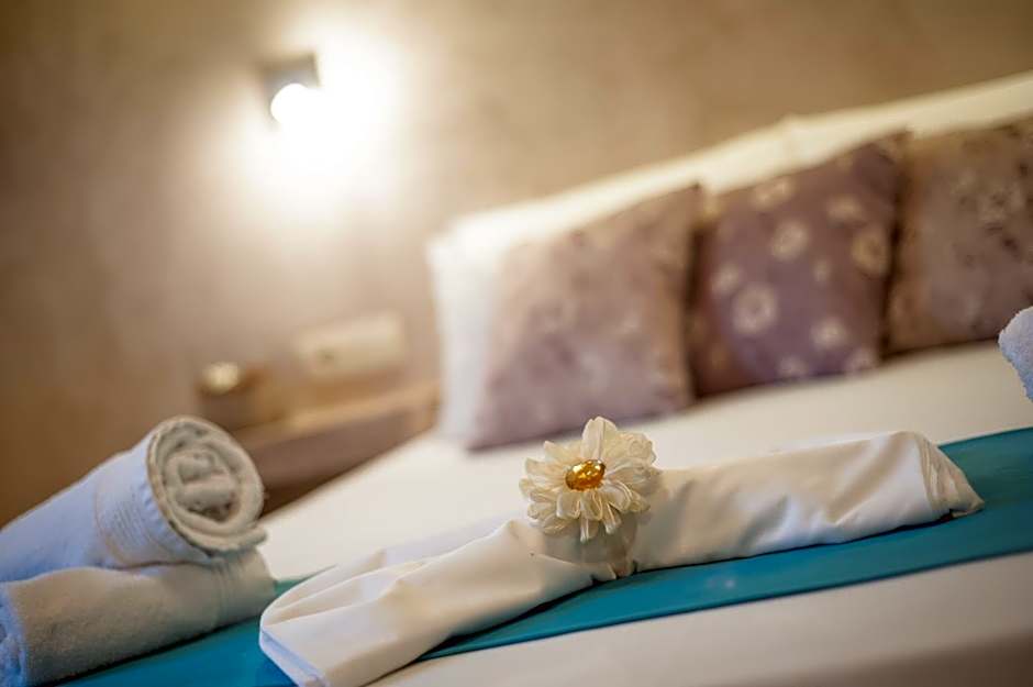 Zante Nest Studios & Apartments