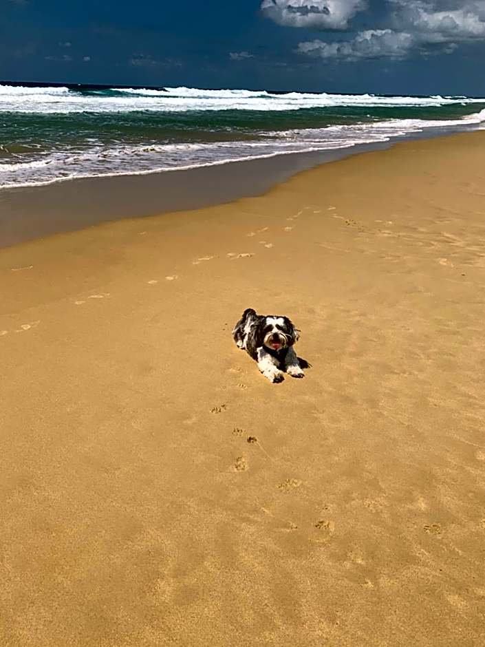 Saltwater Villas - Pet Friendly Accommodation