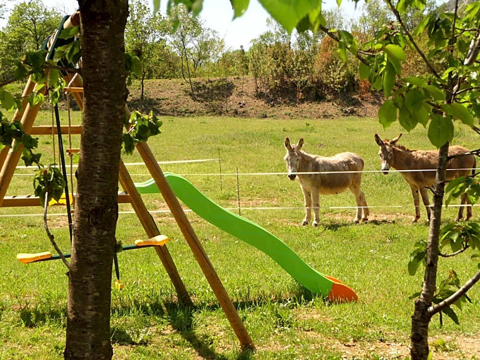 Domaine de Rochebelle