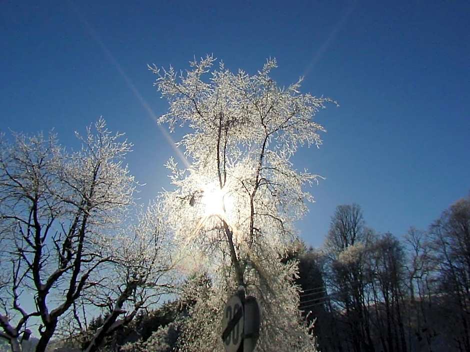 Landhotel Lacknerhof
