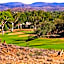 Desert Palms Alice Springs