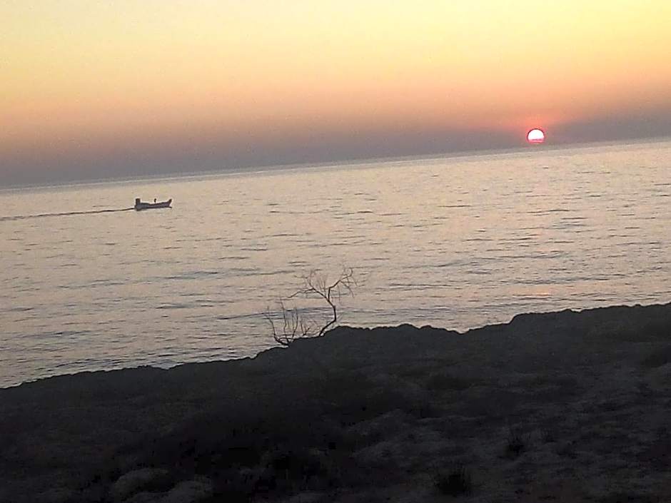 DIMORA DELL'ARTISTA 2