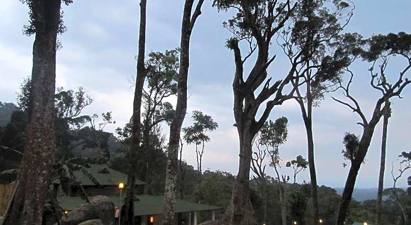 Neelakurunji Plantation Munnar