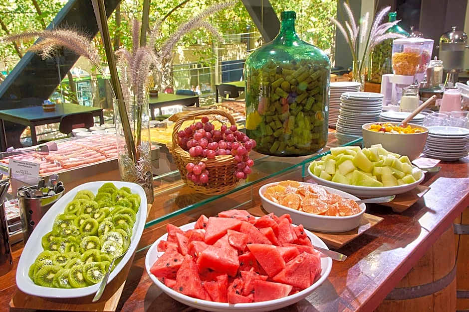 Hotel Raices Aconcagua