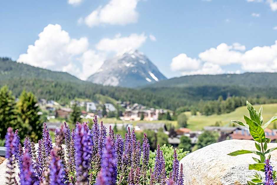 Gotthard - Fine Living Apartments