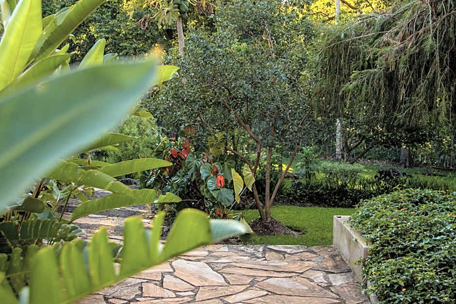 Kilimanjaro Eco Lodge