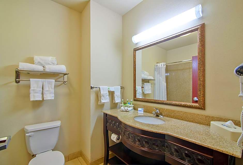 Holiday Inn Express Hotel & Suites Terrell By IHG