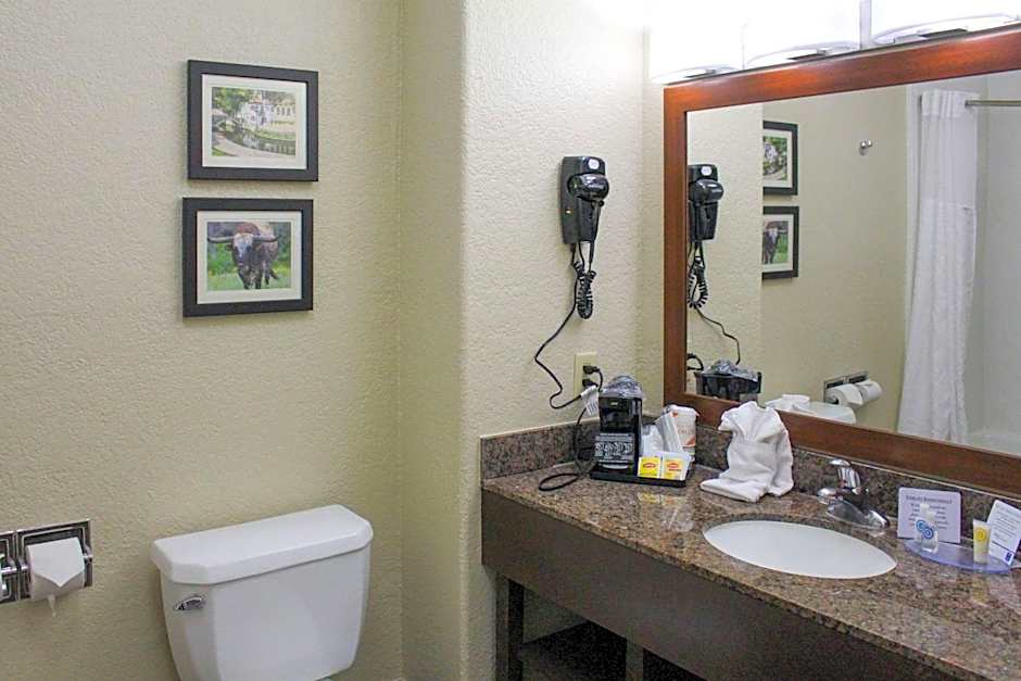 Comfort Inn & Suites Near Six Flags & Medical Center