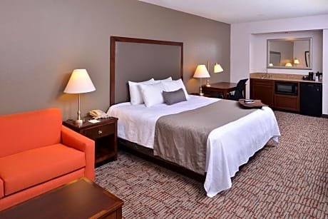 1 King Bed, Non-Smoking, Pillowtop Bed, Microwave And Refrigerator, Shower Only, Sofabed, Full Break