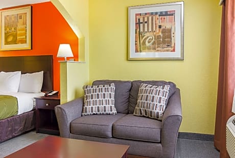 1 King Bed Nonsmoking