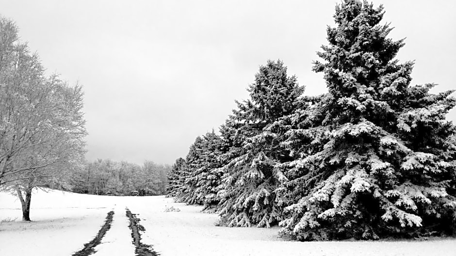 North Ironwood Acres - Black River Lodge
