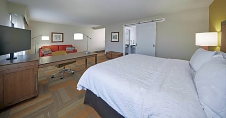 1 King Microwv/Fridge/Wet Bar Studio Suite Ns