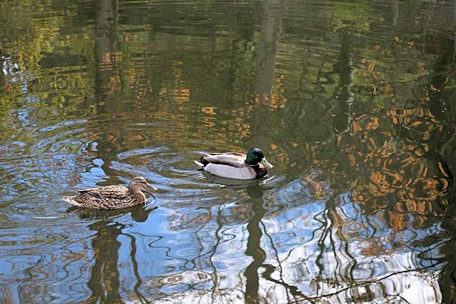 Quinta Do Crestelo Aparthotel