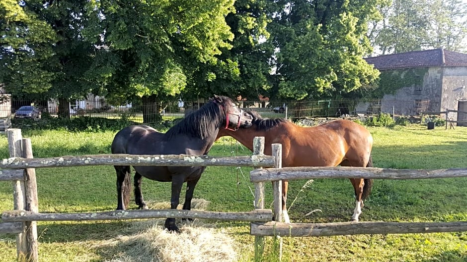 La Vieille Gorce Chambres d'Hôtes near Civray