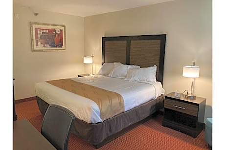 1 King Bed | Non-Smoking, Micfridge