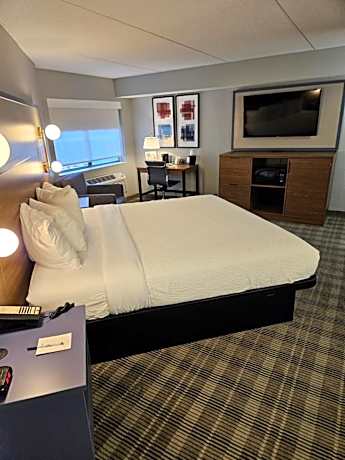 1 King Bed, Premier one Bedroom Suite, Non-Smoking