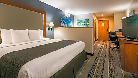 King Room - Non-Smoking